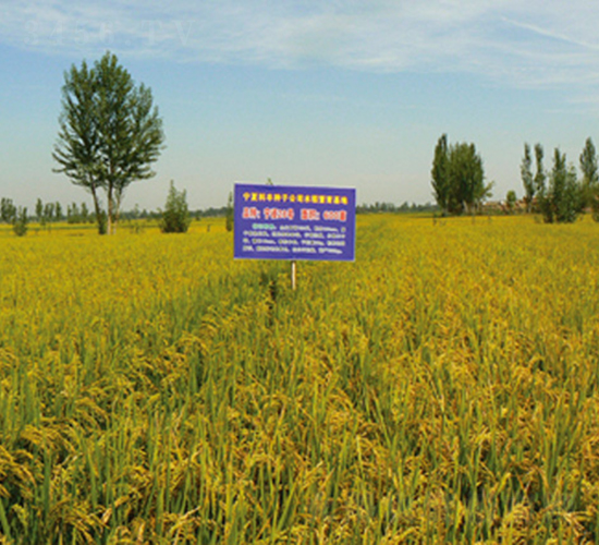 ����28̖(h��o)-ˮ���N��-���S�N�I(y��)