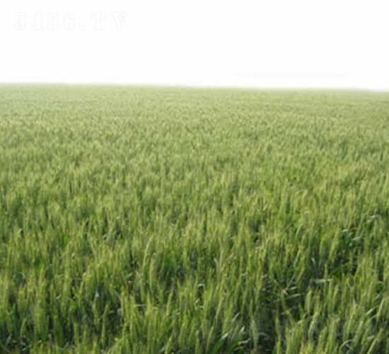 ����99-С���N��-�y�d�N�I(y��)