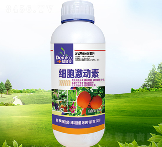 ��(x��)��������-������