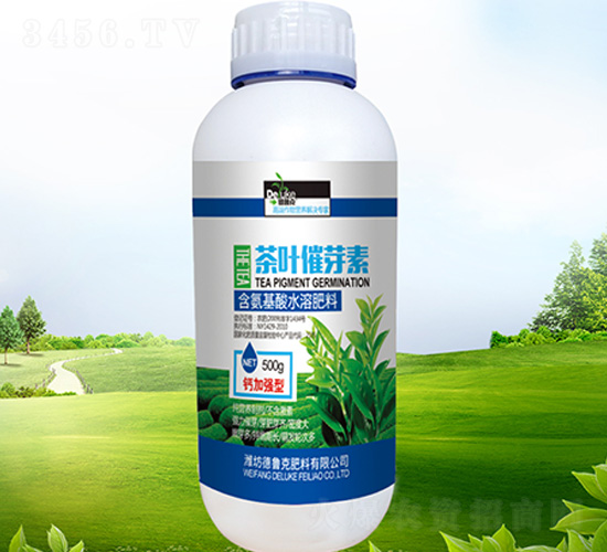 ���~��ѿ��-������