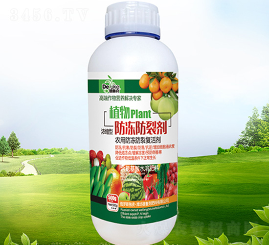 ֲ��������ф�-������