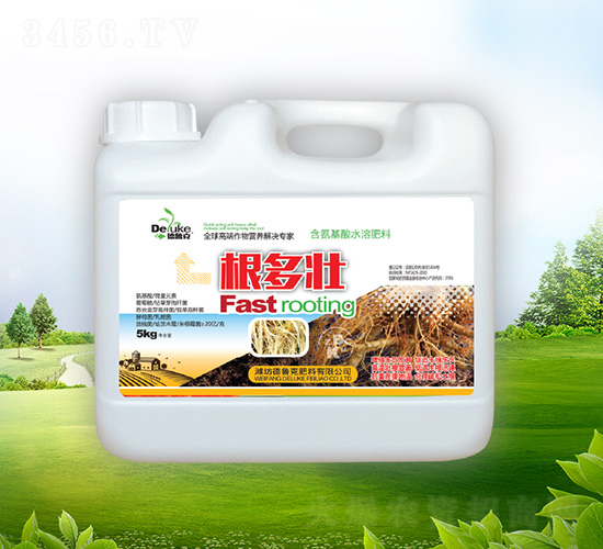 �����ѣ��أ�-������