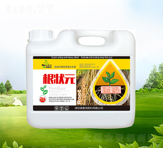 ����Ԫ-������