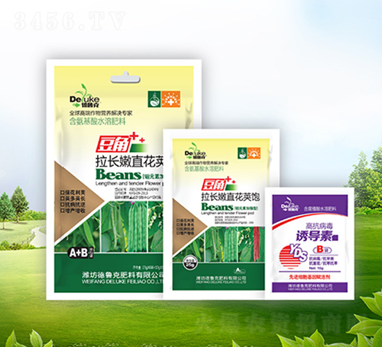 �������L(zh��ng)��ֱ���v�+�T��(d��o)��-������