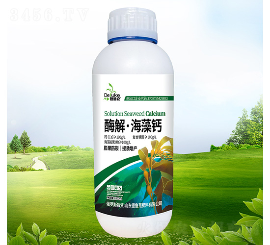 ø�⡤�����}-������