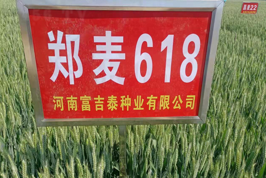 ����618-С���N��-���ԷN�I(y��)