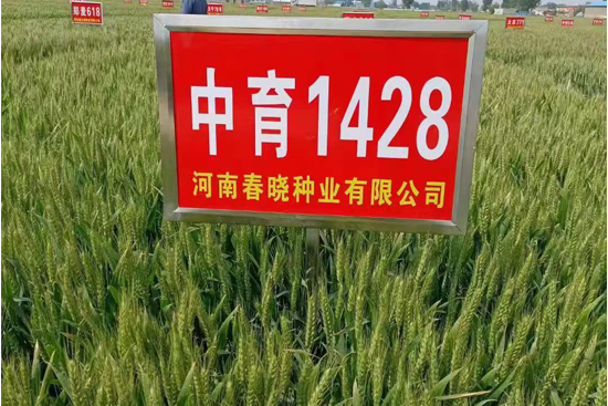 ����1428-С���N��-���ԷN�I(y��)