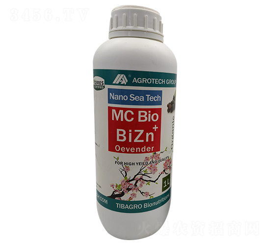 �W�����\-���Ÿ��_-����̩��