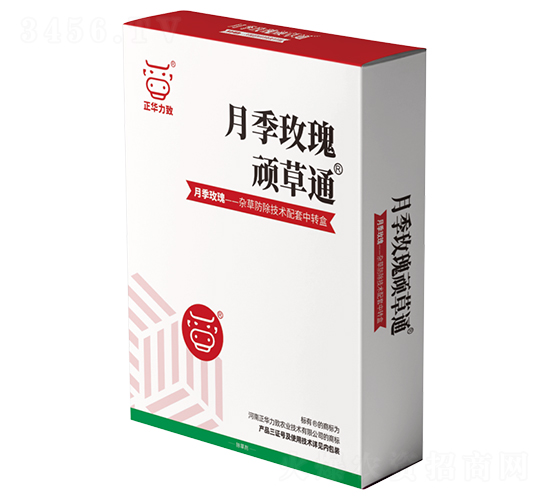 �¼�õ���B��ͨ-���A����