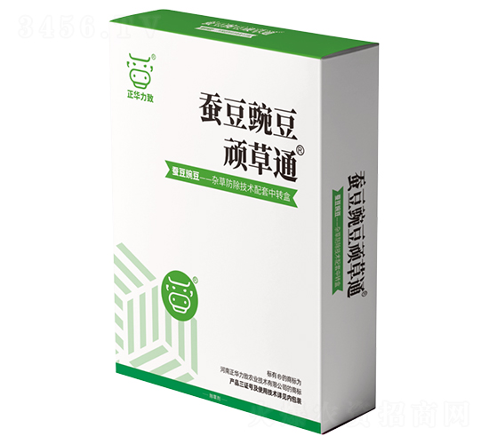 �Q���㶹�B��ͨ-���A����