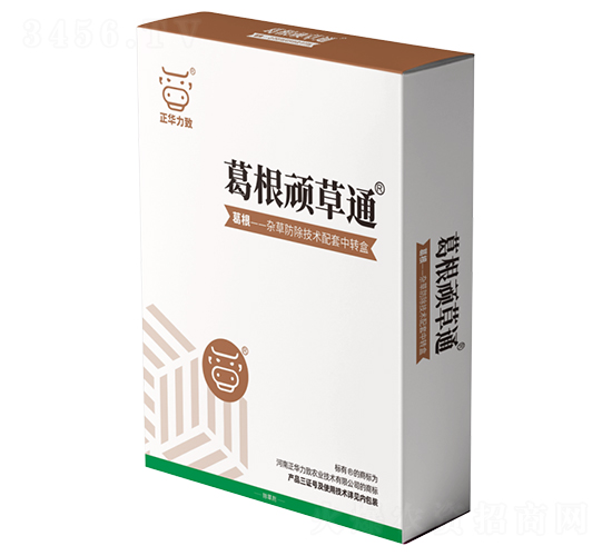 ����B��ͨ-���A����