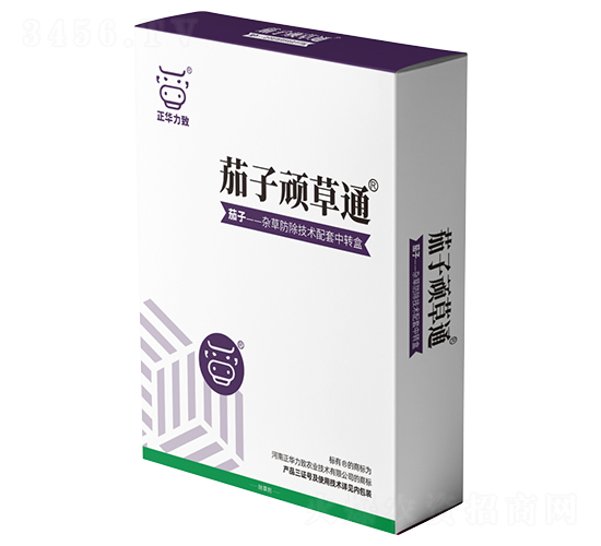 �����B��ͨ-���A����