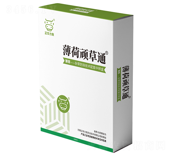 �����B��ͨ-���A����