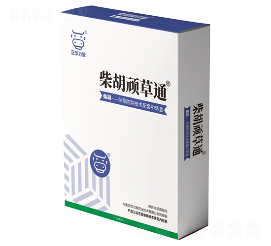 ����B��ͨ-���A����