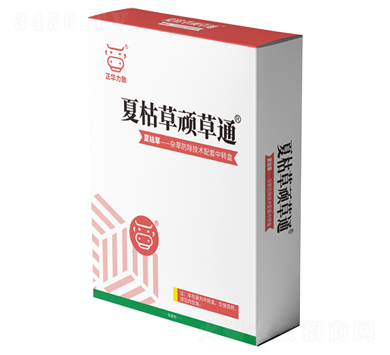 �Ŀݲ��B��ͨ-���A����