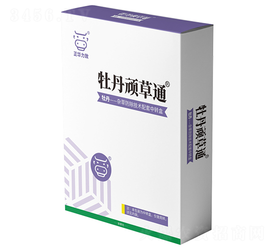 ĵ���B��ͨ-���A����