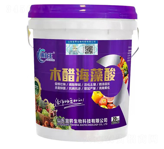 ľ�׺�����-�˕N����