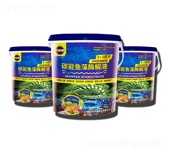 ̼���~��ø��Һ-������