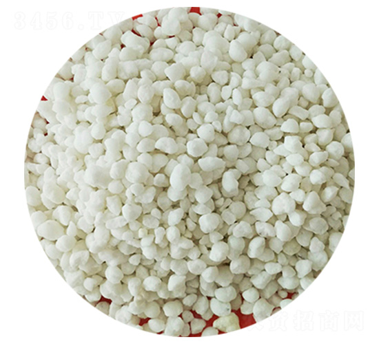 �w�����ʘ�Ʒ-ʢ�����l(xi��ng)