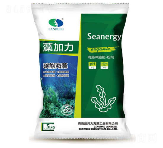 ����_ʩ��-�����-�{ؐ��