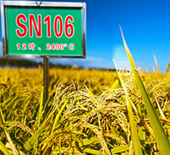 SN106-ˮ���N��-���ϷN�I(y��)