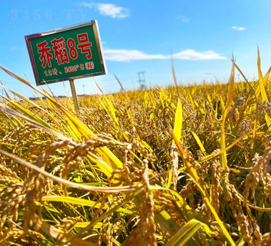 �̵�8̖-ˮ���N��-���ϷN�I(y��)