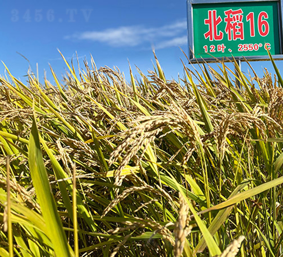 ����16̖-ˮ���N��-���ϷN�I(y��)