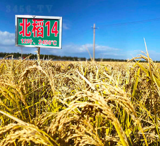 ����14̖-ˮ���N��-���ϷN�I(y��)