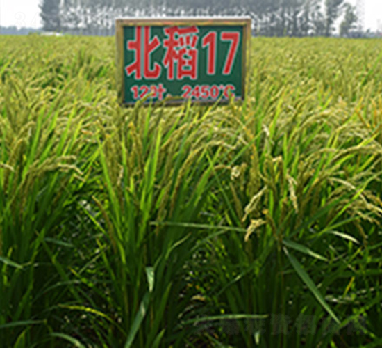 ����17̖(h��o)-ˮ���N��-���ϷN�I(y��)