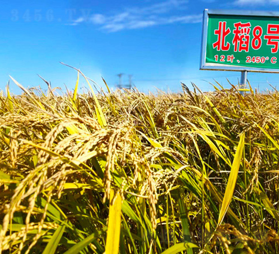 ����8̖-ˮ���N��-���ϷN�I(y��)