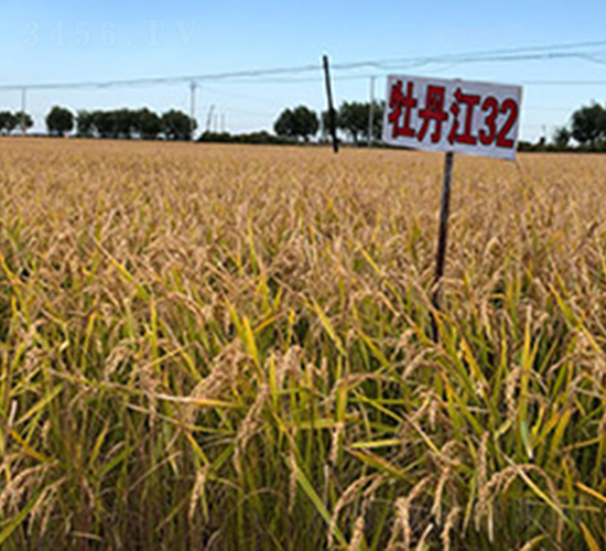 ĵ����32-ˮ���N��-���ϷN�I(y��)