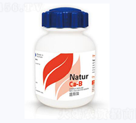 ʢ����-�{��