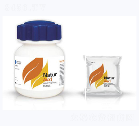 ������-�{��