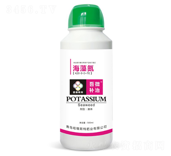 ���嵪-��΢�a��-���S˹�طʘI(y��)