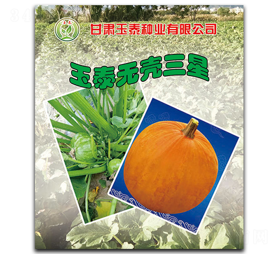 ��̩�o������-�o�����J�N��-��̩�N�I(y��)