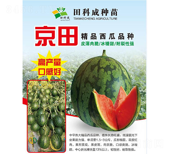 ����-���ϷN��-��Ƴ�