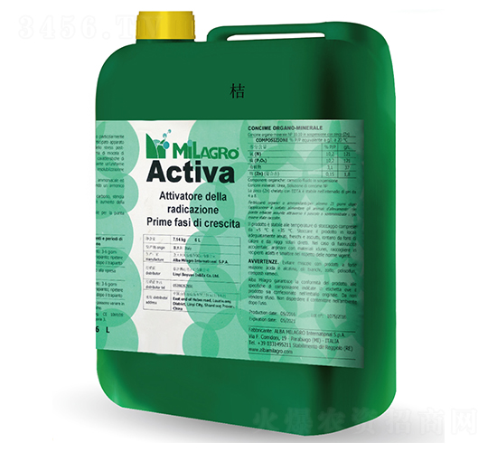 ����������-���h(yu��n)