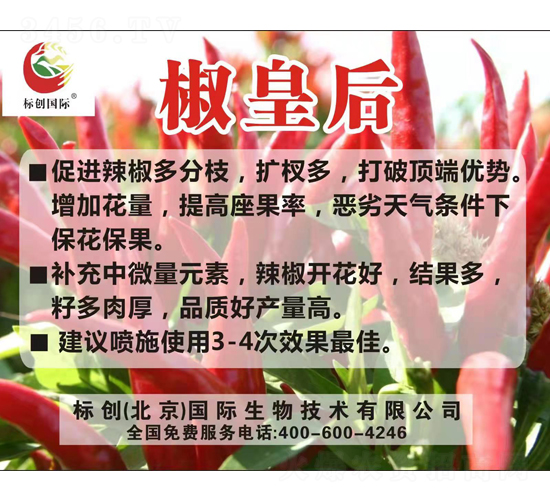 �~���-���ʺ�-��(bi��o)��(chu��ng)���H