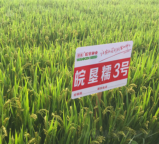 �Ŵ3̖(h��o)-ˮ���N��-���߷N�I(y��)