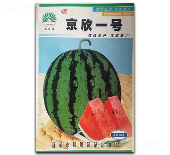 ����һ̖(h��o)-���ϷN��-�P�˷N�I(y��)