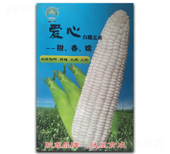 ����-Ŵ���׷N��-�P�˷N�I(y��)