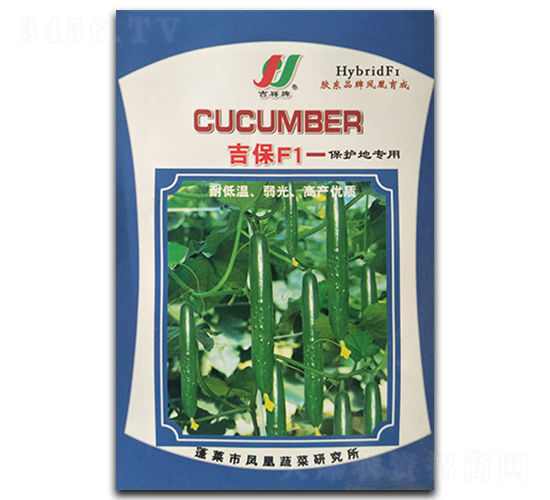 ����F1-�S�ϷN��-�P�˷N�I(y��)