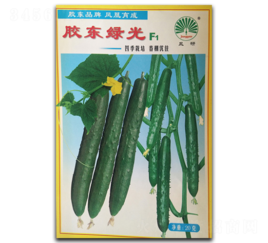 �z�|�G��F1-�S�ϷN��-�P�˷N�I(y��)