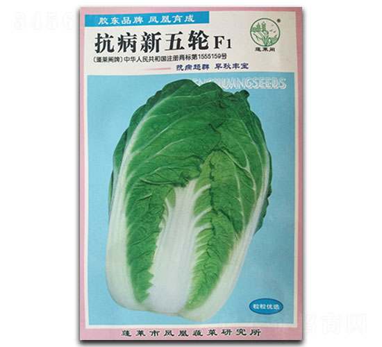 ��������݆-�ײ˷N��-�P�˷N�I(y��)