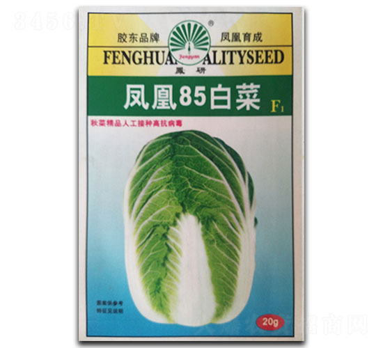 �P��85-�ײ˷N��-�P�˷N�I(y��)