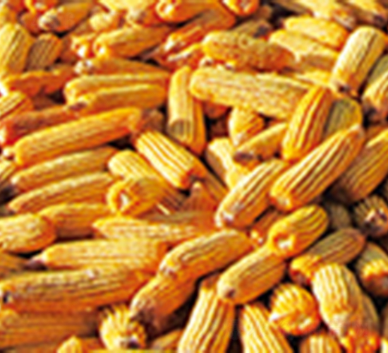 �R��6-���׷N��-�����N�I(y��)