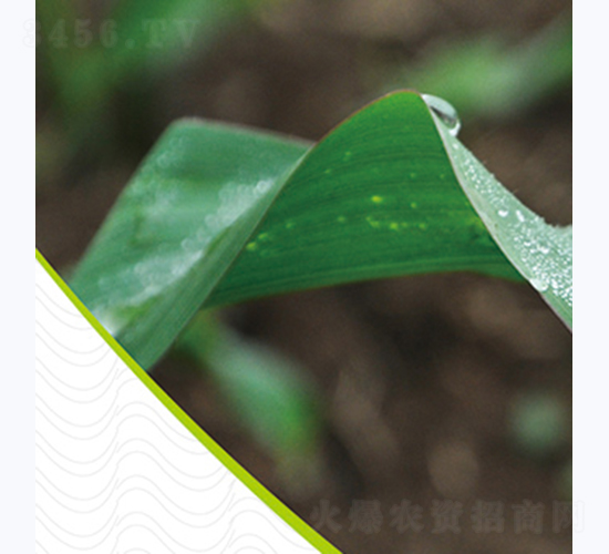 ����6-���׷N��-�����N�I(y��)