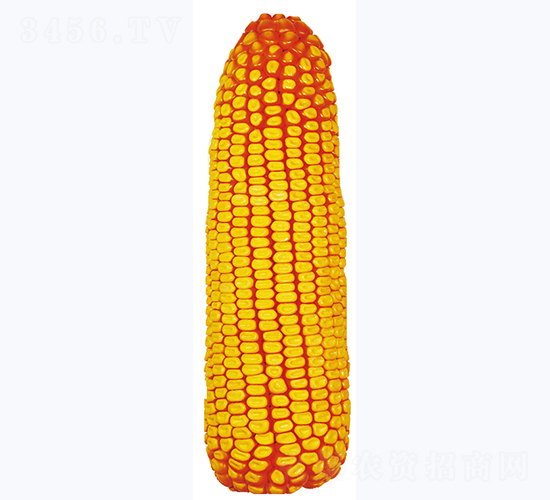 ����359-���׷N��-�����N�I(y��)