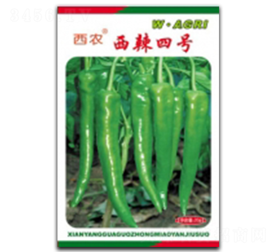 ����4̖(h��o)-�����N��-�ؼt�N�I(y��)