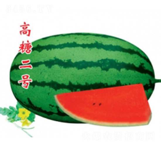 ���Ƕ�̖(h��o)-���ϷN��-�ؼt�N�I(y��)